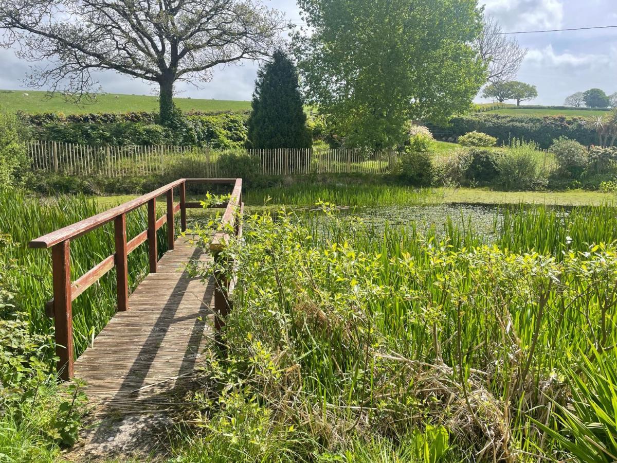 科尔温湾The Annex On Our Farm公寓 外观 照片